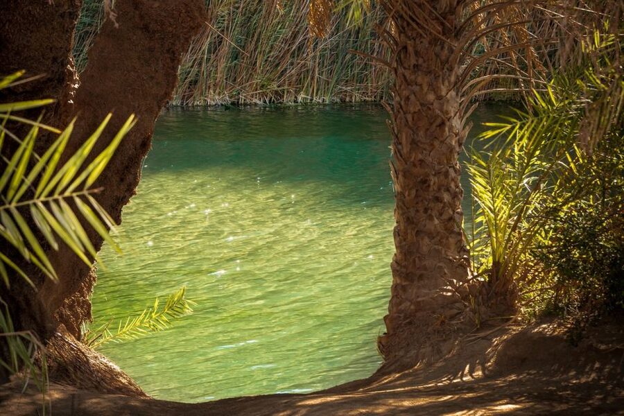 From Chania: Day Trip to Preveli Beach & Damnoni Beach - Arriving at Preveli by boat