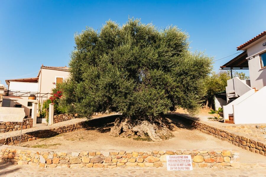 From Chania: Elafonisi and Falasarna Guided Tour with Snacks - Key things to know before you book