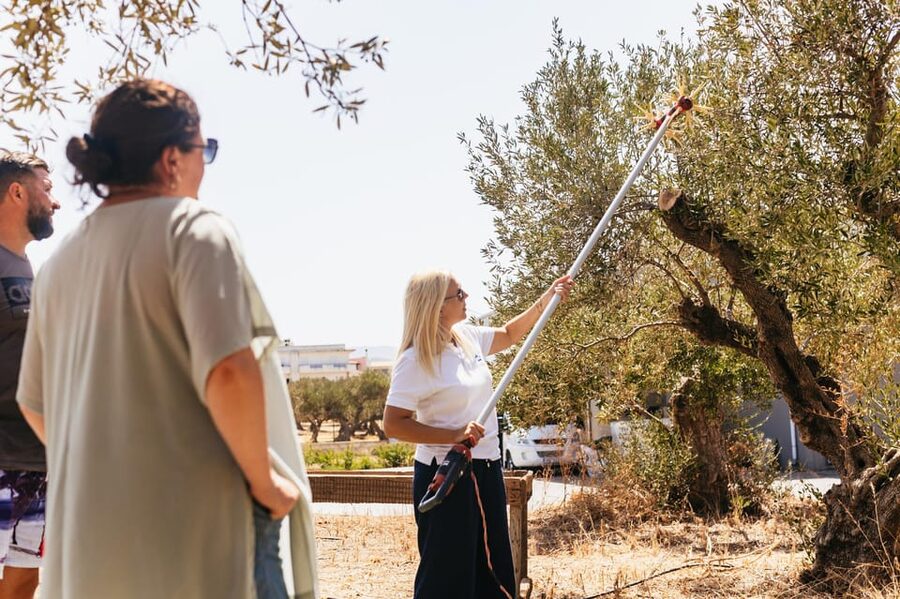 From Chania: Elafonisi and Falasarna Guided Tour with Snacks - Is $123 good value?