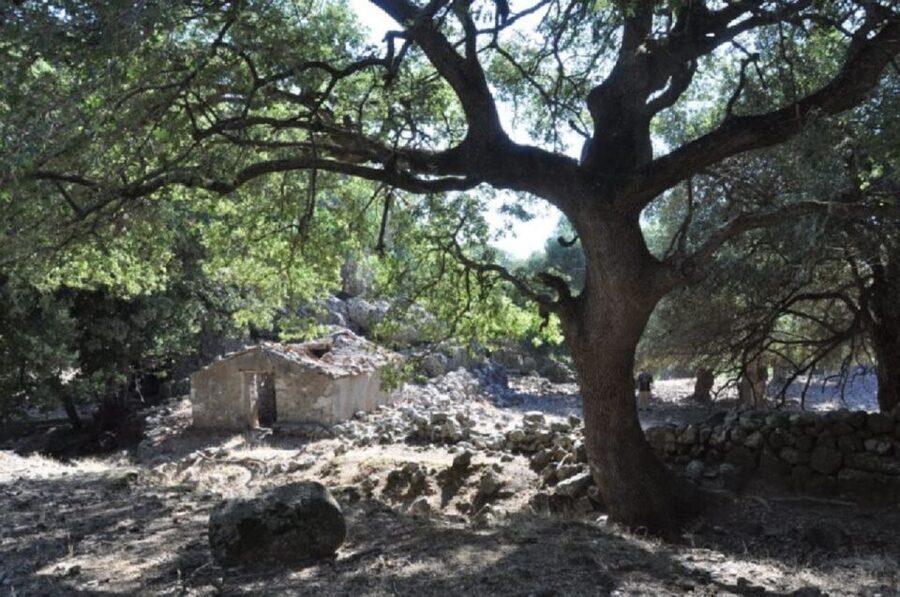 From Chania: Imbros Gorge Guided Hike and Village Visit - Why Imbros Gorge makes a good day from Chania
