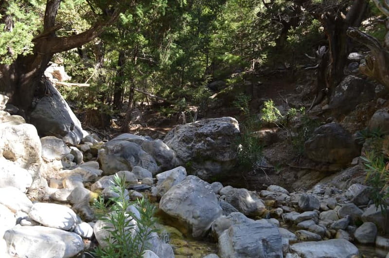 From Chania/Kalyves: Full-Day Samaria Gorge Hiking Day Trip - Guide support without a forced group pace