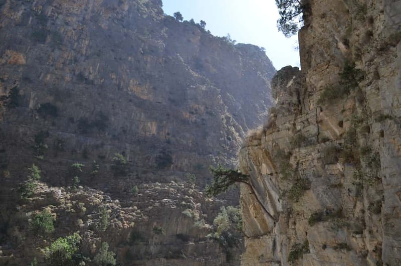 From Chania/Kalyves: Full-Day Samaria Gorge Hiking Day Trip - Why the Samaria Gorge is worth the long day