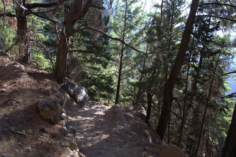 From Chania/Kalyves: Full-Day Samaria Gorge Hiking Day Trip - What the 5.5-hour hike is really like
