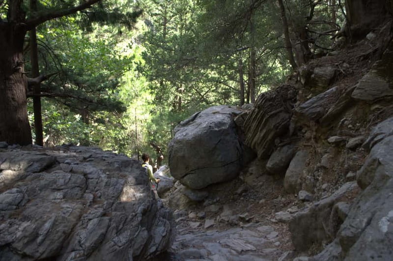 From Chania/Kalyves: Full-Day Samaria Gorge Hiking Day Trip - Agia Roumeli: four hours by the sea