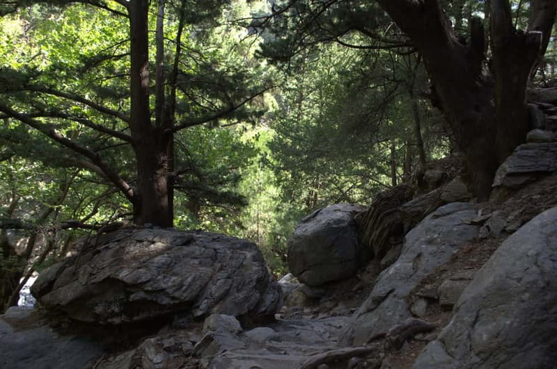 From Chania/Kalyves: Full-Day Samaria Gorge Hiking Day Trip - What the €32.75 price does and does not cover