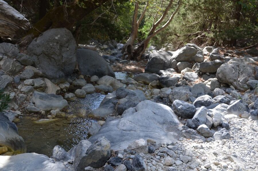 From Chania/Kalyves: Full-Day Samaria Gorge Hiking Day Trip - Who should book this hike