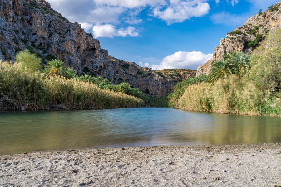 From Chania: Preveli Palm Beach Day Tour - Key details before you book