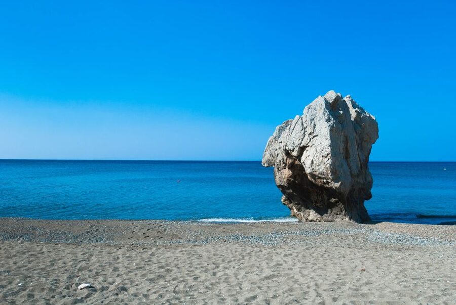From Chania: Preveli Palm Beach Day Tour - The boat from Damnoni to Preveli