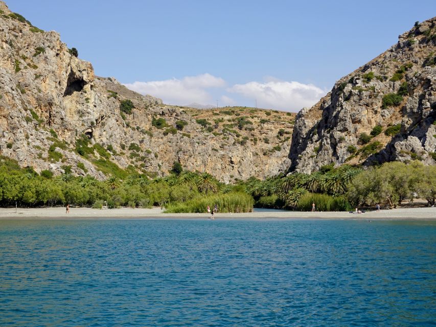 From Chania: Preveli Palm Beach Day Tour - Three hours beside the river and palm trees