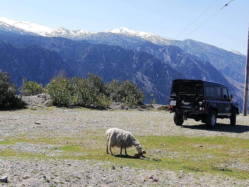 From Chania: White Mountains Land Rover Safari - Key points to know before you go