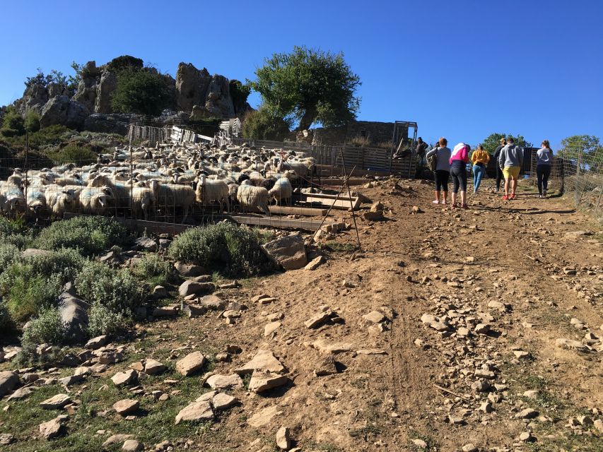 From Chania: White Mountains Land Rover Safari - Therisso village and a proper Cretan lunch