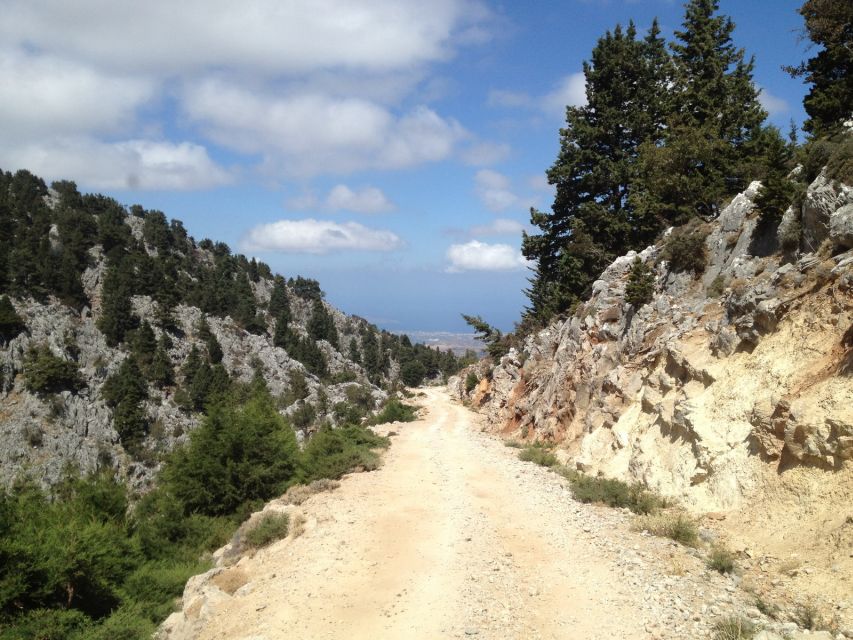 From Chania: White Mountains Land Rover Safari - What the guides add to the experience