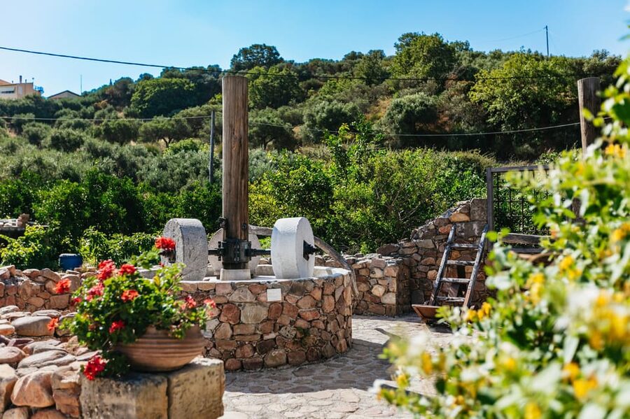 From Chania: Wine and Olive Oil Tasting Tour with Snacks - The guides make a real difference