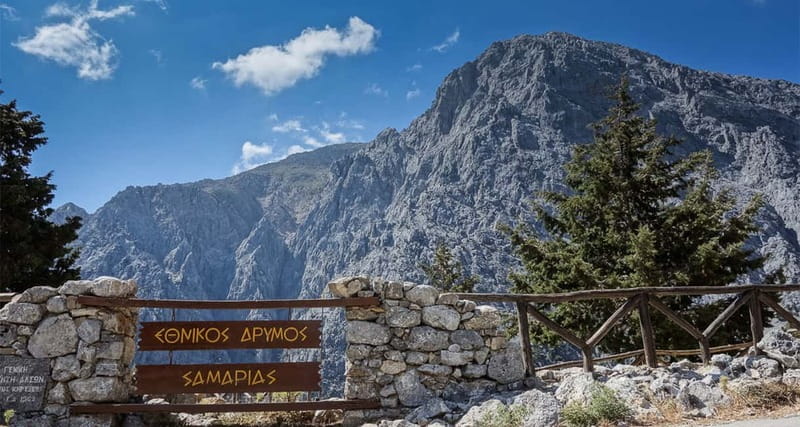 From Heraklion,Agia Pelagia,Malia: Samaria Gorge Guided Trip - Guides, group pace, and organization