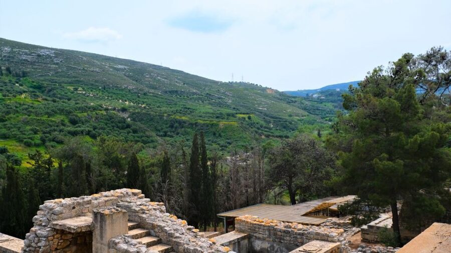 From Heraklion: Historical Center City Tour & Knossos Palace - Group size, languages, and guiding quality