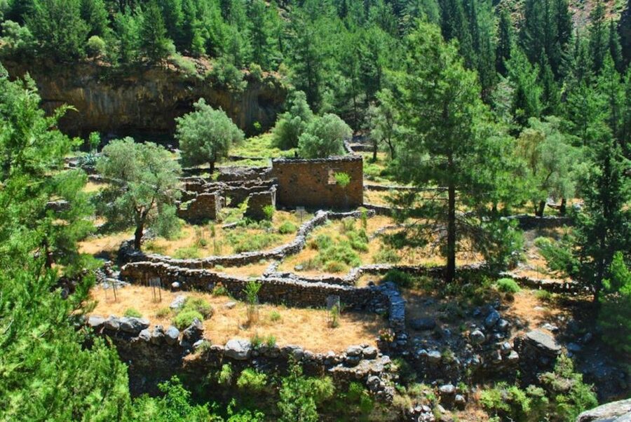 From Heraklion: Samaria Gorge & Agia Roumeli Hiking Day Trip - The long ride home through Crete