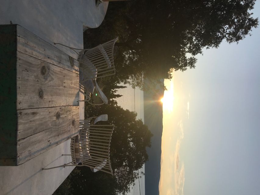 From Kefalonia: Ithaca Island Full-Day Bus Tour - The quick take