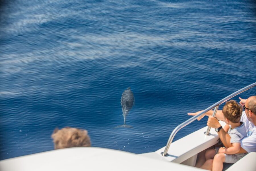 From Lefkimmi: Paxos, Antipaxos & Blue Caves Speedboat Tour - Key points at a glance