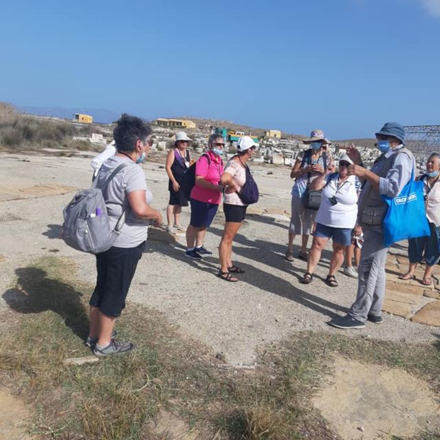 From Mykonos: Ancient Delos Tour - Guide quality and the shape of the group