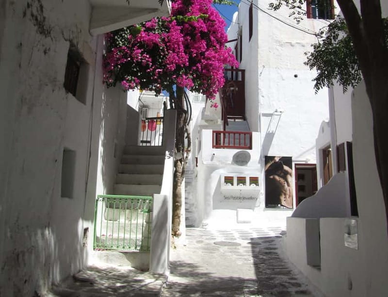 From Naxos: Round day trip to Mykonos Island - Shopping in Matogiannia
