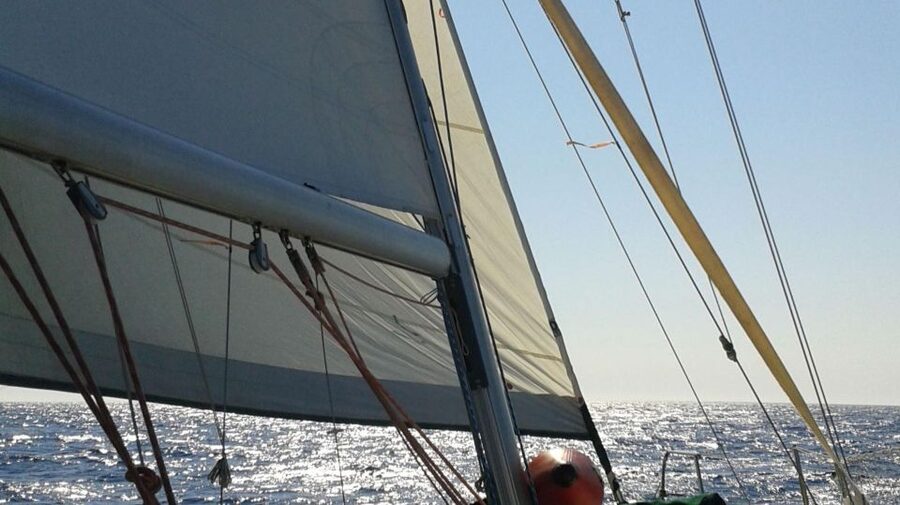 From Neos Marmaras: Halkidiki Islets and Coves Cruise - Who will enjoy this cruise most