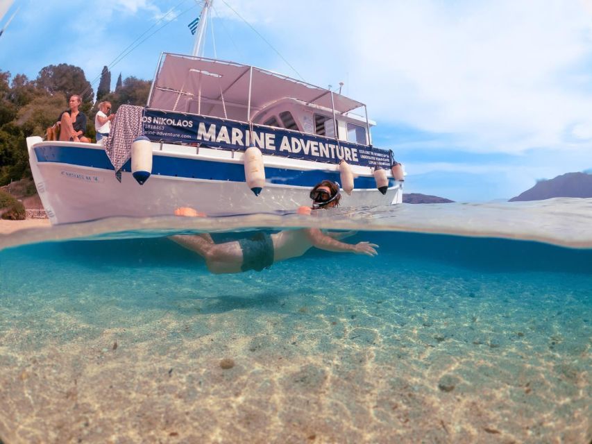 From Nidri: Marine Wildlife Cruise with Lunch and Swim Stops - Why this Nidri cruise feels different