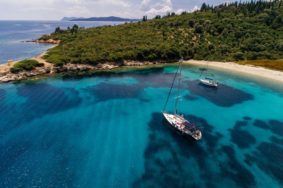 From Nidri: Marine Wildlife Cruise with Lunch and Swim Stops - Seagrass meadows and marine life