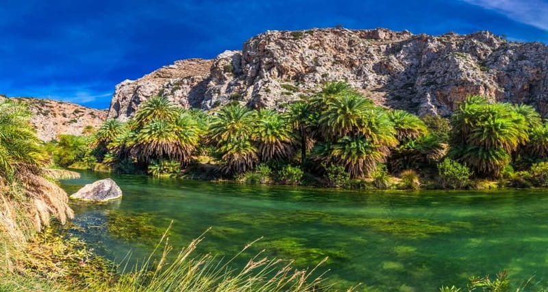 From Rethymno/Chania: Day Trip to Preveli Palm Beach - Why Preveli makes a strong south-coast day trip