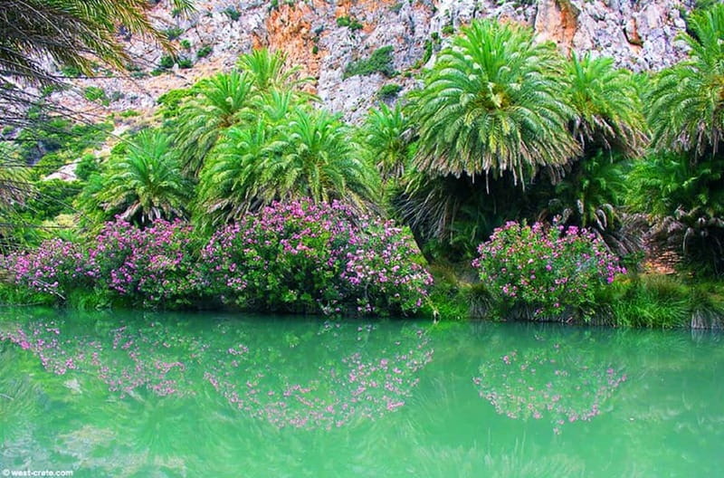 From Rethymno/Chania: Day Trip to Preveli Palm Beach - Walking the Kourtaliotiko Gorge