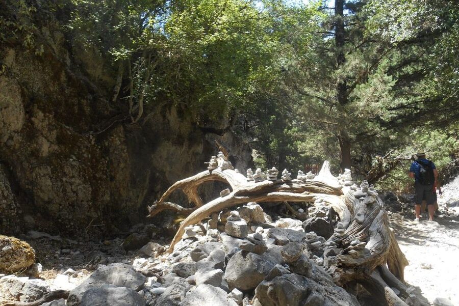 From Rethymno/Chania: Imbros Gorge Hike - Why Imbros Gorge is a good alternative to Samaria