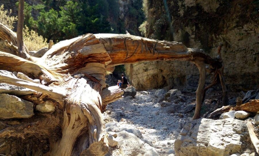 From Rethymno/Chania: Imbros Gorge Hike - Guides, groups, and how much help you get