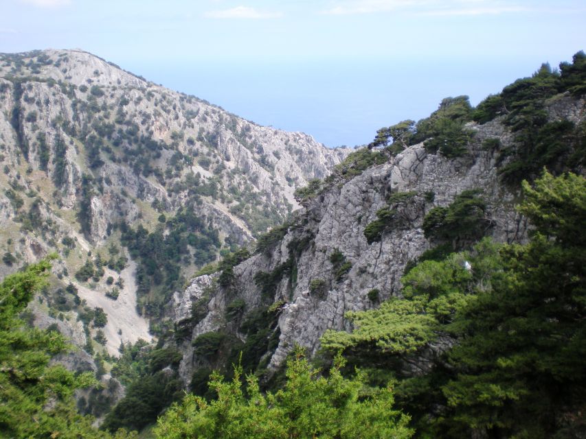 From Rethymno: Imbros Gorge & Libyan Guided Sea Tour - Is $34 good value from Rethymno?
