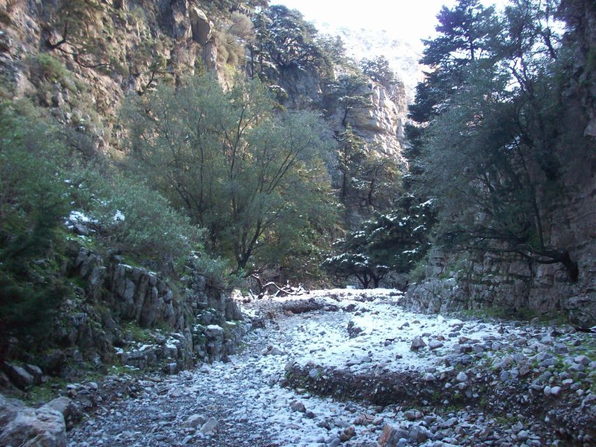 From Rethymno: Imbros Gorge & Libyan Guided Sea Tour - Why this Imbros Gorge trip is worth your day