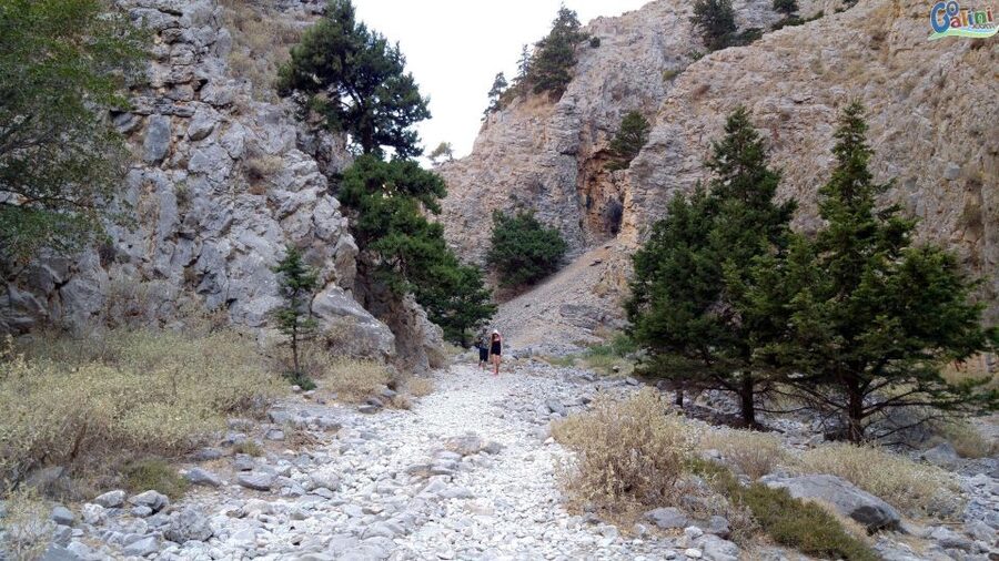 From Rethymno: Imbros Gorge & Libyan Guided Sea Tour - A guide who keeps the walk manageable