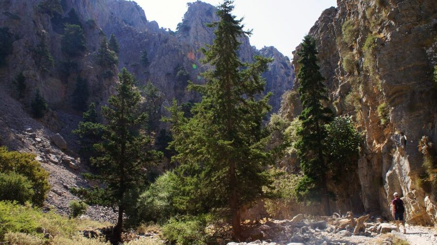 From Rethymno: Imbros Gorge & Libyan Guided Sea Tour - Chora Sfakion gives you a brief seaside pause