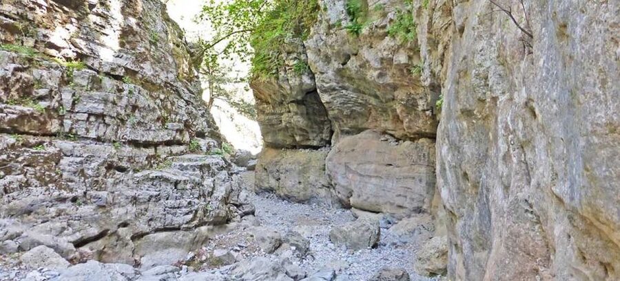 From Rethymno: Imbros Gorge & Libyan Guided Sea Tour - Swimming in the Libyan Sea