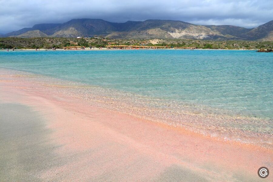 From Rethymno/Kavros: Elafonisi Island Pink Sand Beach Tour - Key points to know before booking