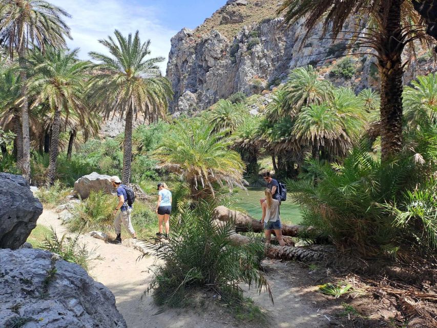 From Rethymno: Kourtaliotiko, Preveli Palm Beach, & Damnoni - What to bring for a smoother day