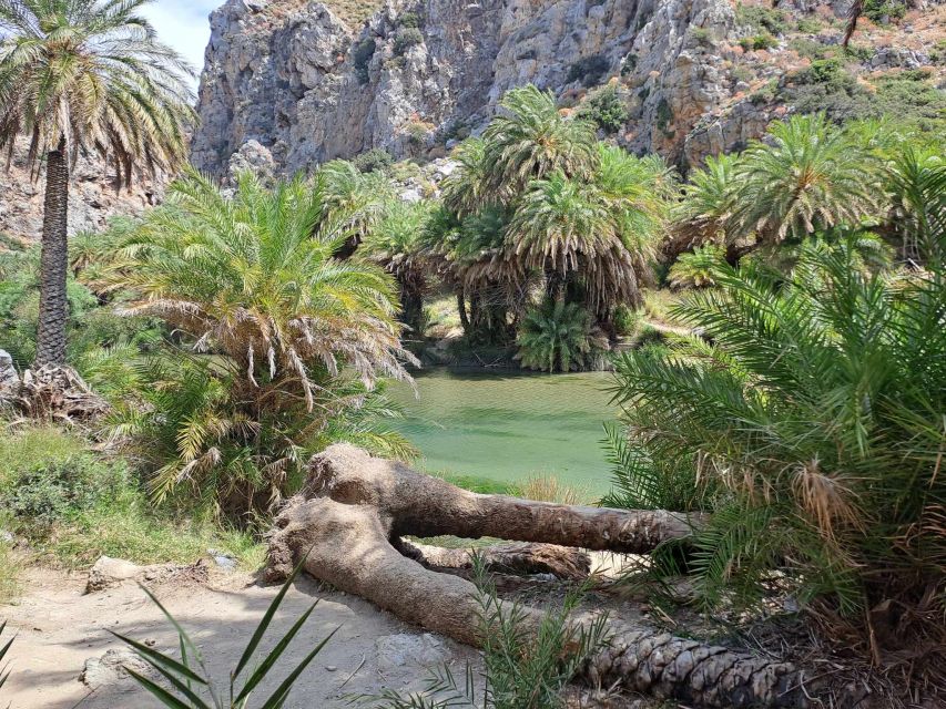From Rethymno: Kourtaliotiko, Preveli Palm Beach, & Damnoni - Two hours at Preveli Palm Beach
