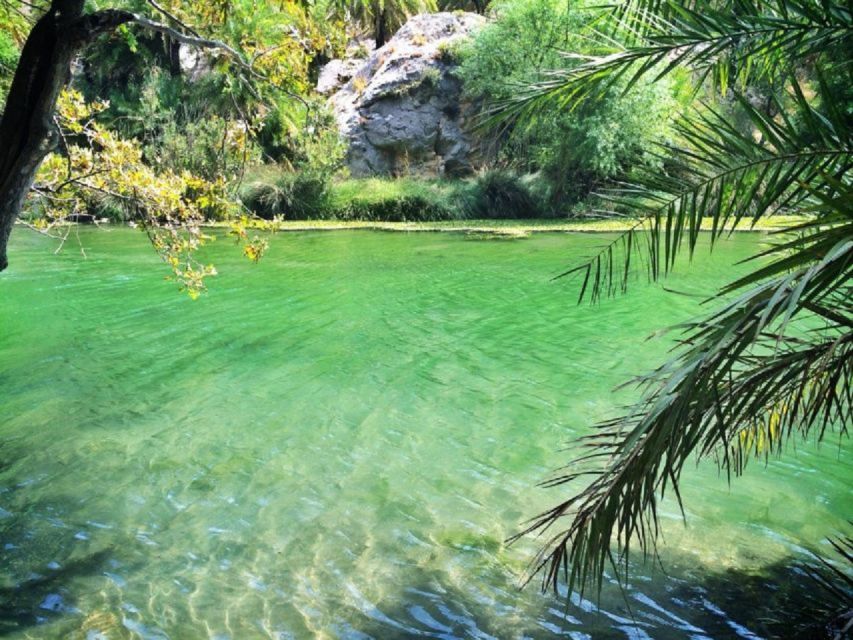 From Rethymno: Preveli Palm Beach and Kourtaliotiko Day Trip - Exploring the palm forest and river at Preveli