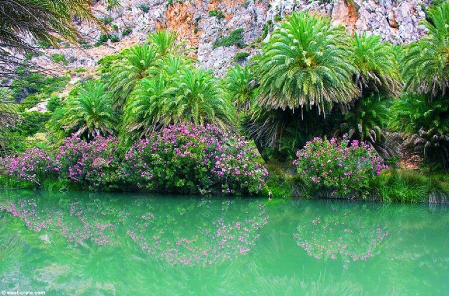 From Rethymno: Preveli Palm Beach and Kourtaliotiko Day Trip - Price, inclusions, and real value