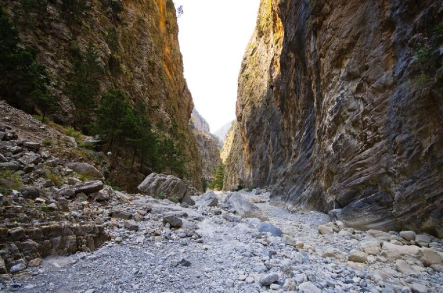 From Rethymno: Samariá Gorge Full-Day Hike - The ferry to Sougia and the ride home