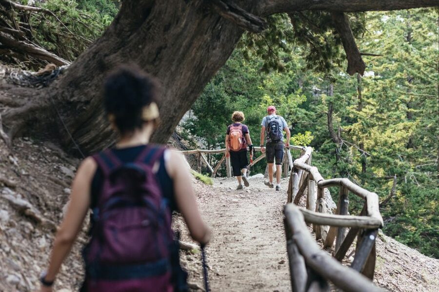 From Rethymno: Samaria Gorge Full-Day Trek, Pickup & Guide - How hard is the 18-kilometer trek?