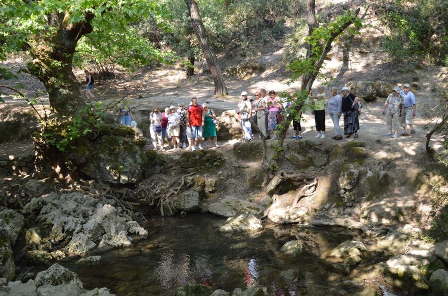 From Rhodes: Bus Tour to Lindos and the Seven Springs - Key points to know before booking