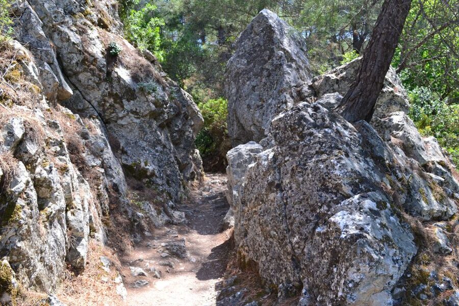 From Rhodes: Lindos and 7 Springs Valley Bus Tour - Four hours to choose your Lindos