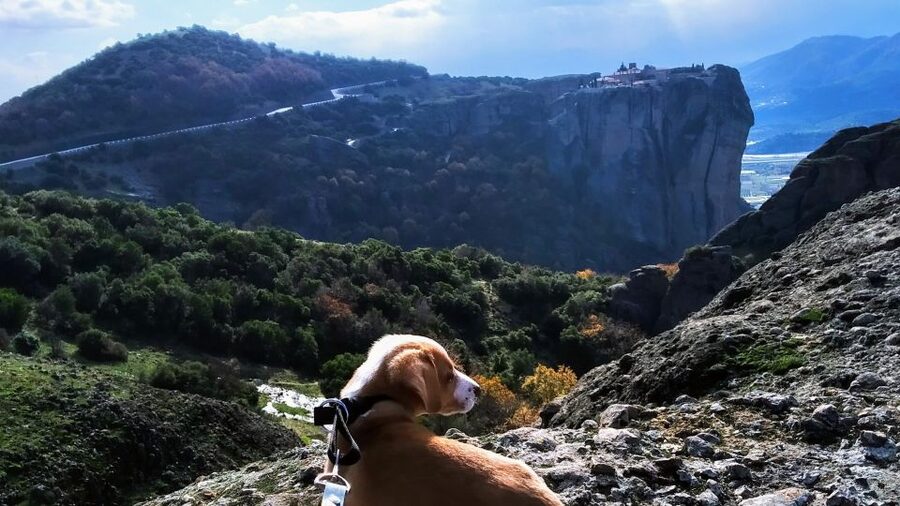 From Thessaloniki: Meteora Small Group Day Trip - What the guide adds to the day