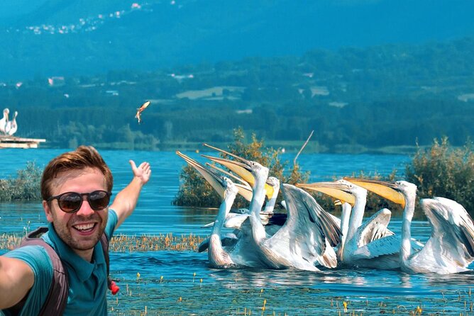 From Thessaloniki: Private Day Trip to Kerkini Lake - Key points at a glance