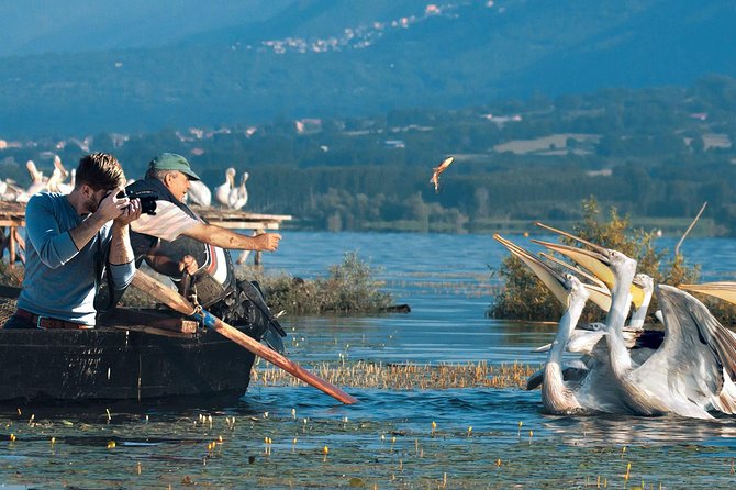 From Thessaloniki: Private Day Trip to Kerkini Lake - Why Lake Kerkini makes a good day trip from Thessaloniki