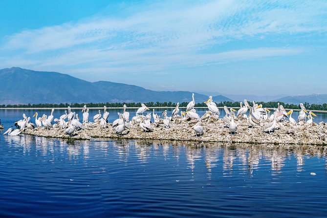 From Thessaloniki: Private Day Trip to Kerkini Lake - Horses, open water, and the Lithotopos setting