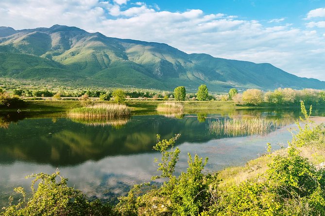 From Thessaloniki: Private Day Trip to Kerkini Lake - Lunch in Vironia village